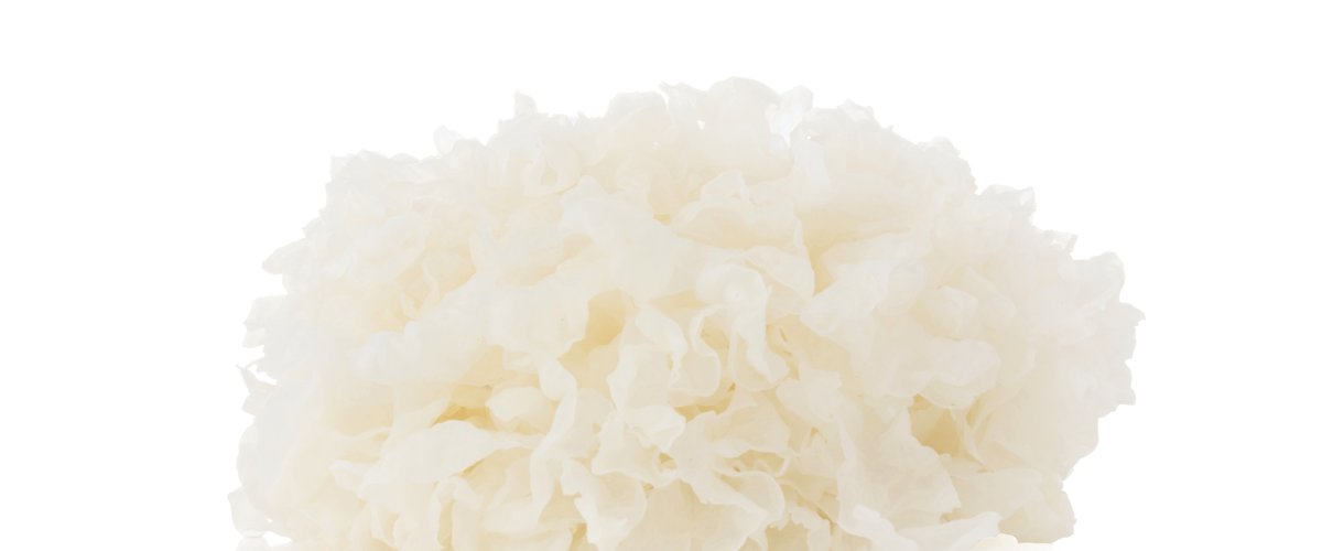 White fungus